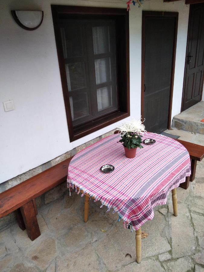 Razsukanova House , Разсукановата Къща Elena Exteriör bild